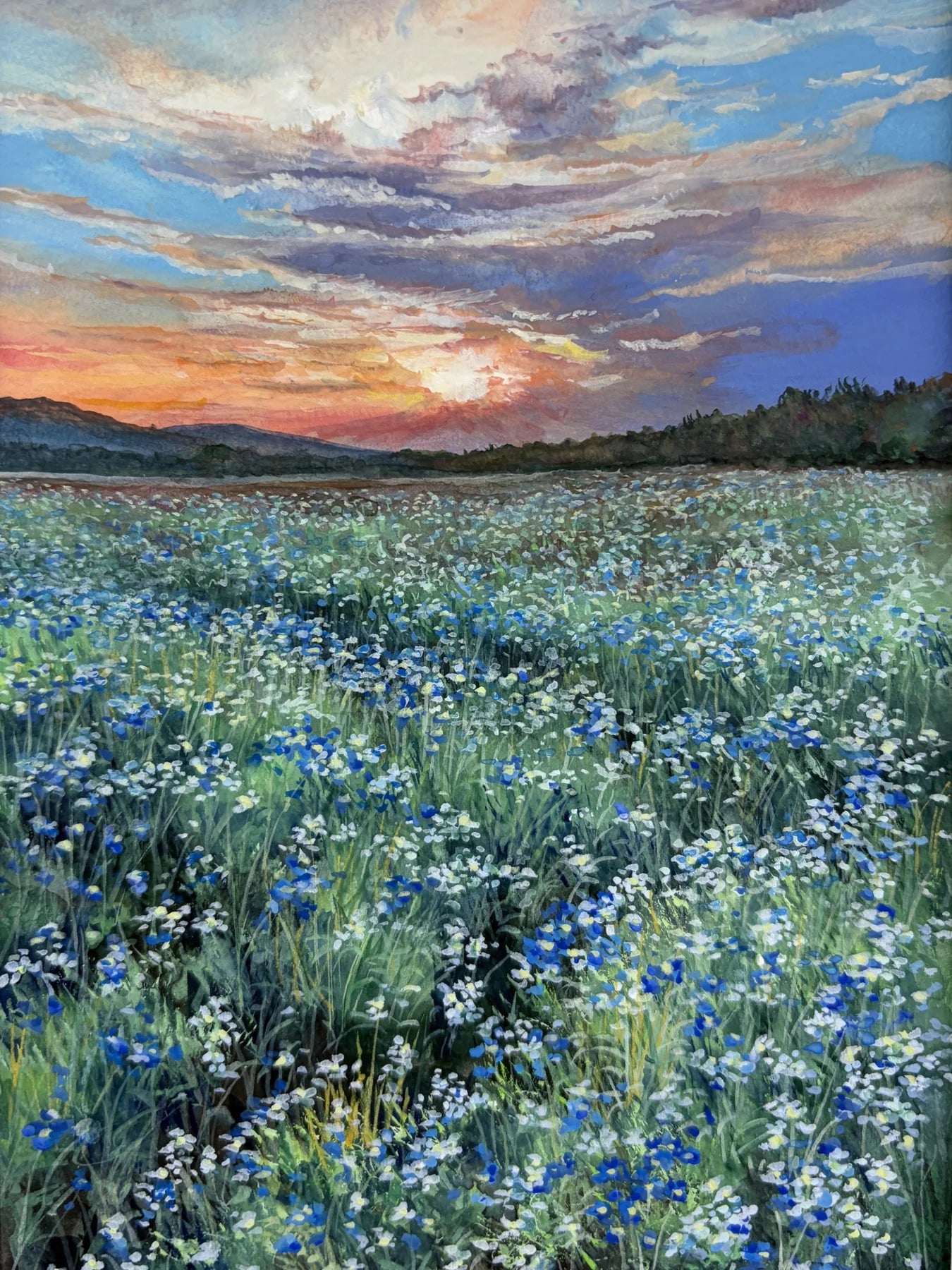 “シリーズ　花畑（原画）”