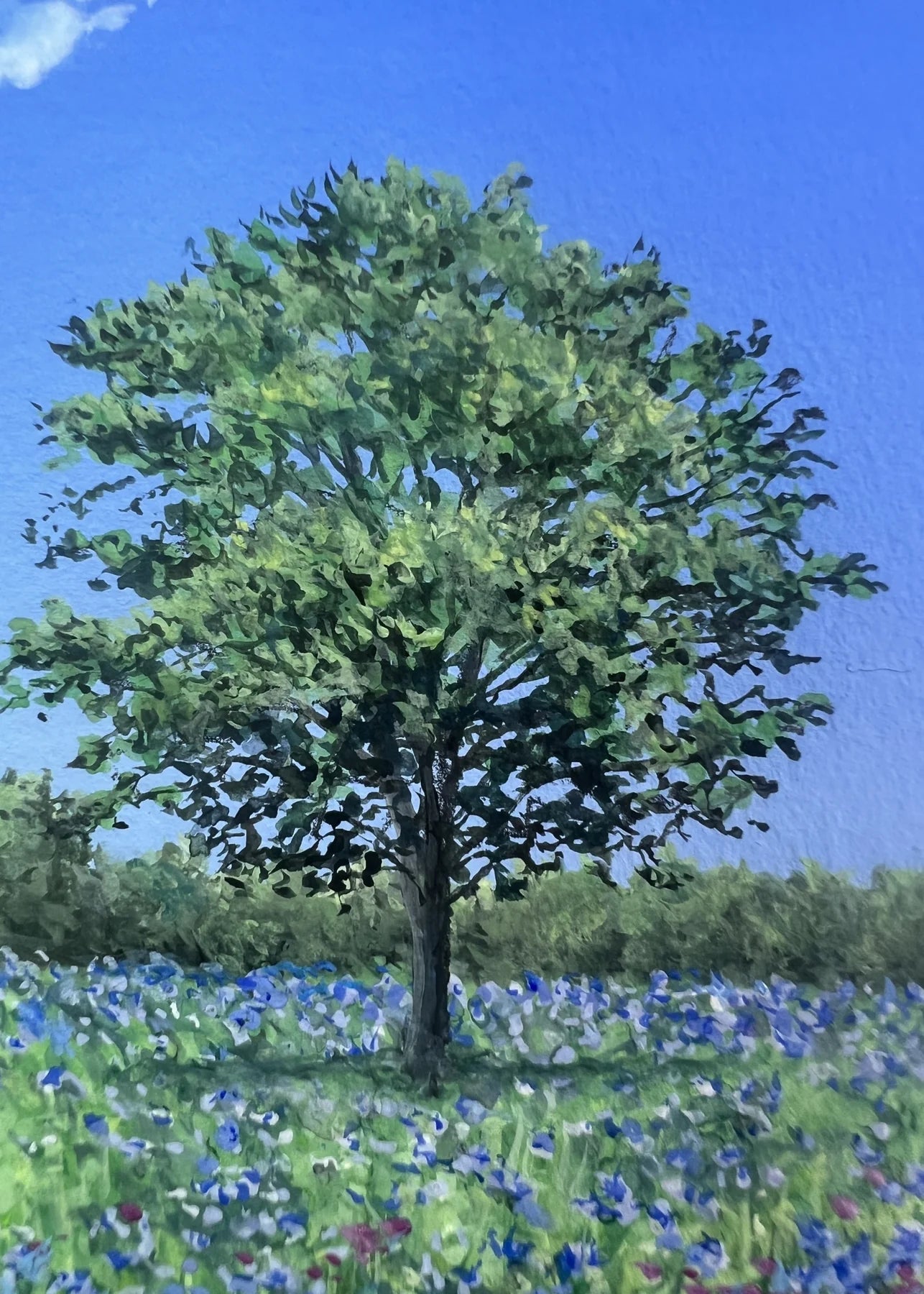 “シリーズ　一本木（原画）”